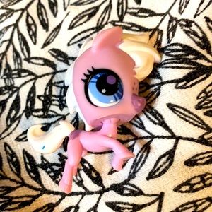 17 littlest pet shops 🐻🐱🦙🐕🐸